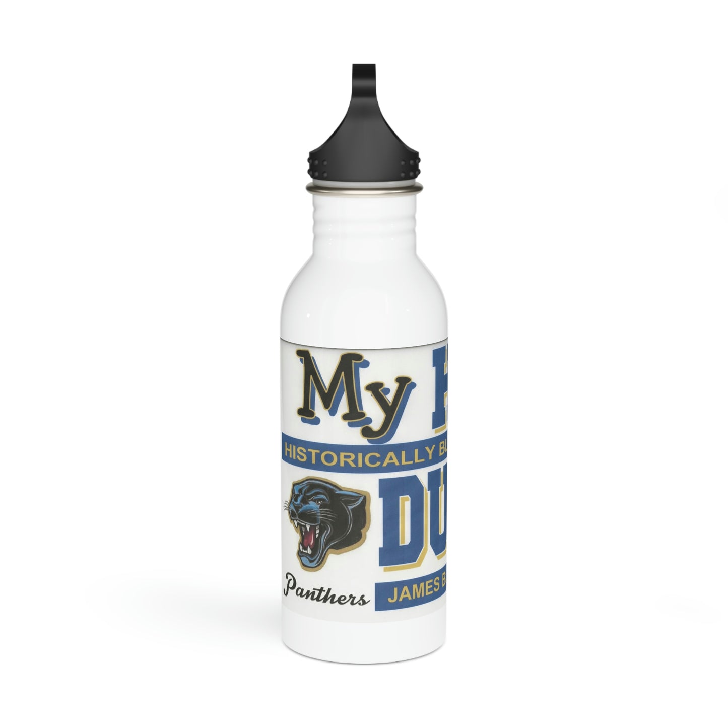 Stainless Steel Water Bottle