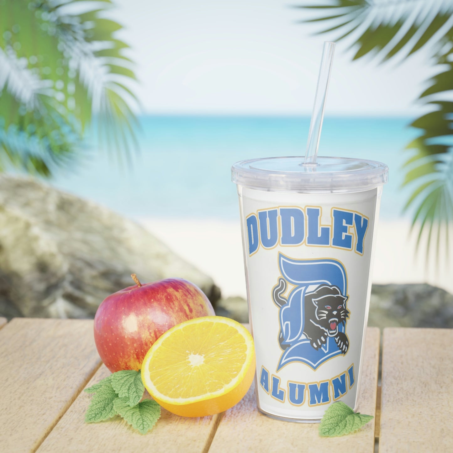 Plastic Tumbler with Straw