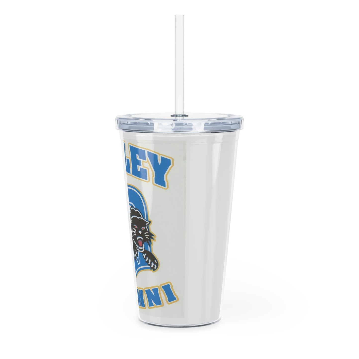 Plastic Tumbler with Straw