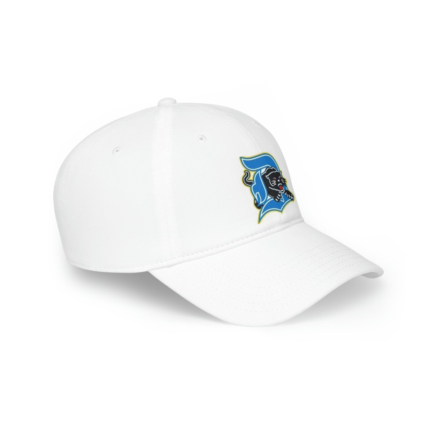 Low Profile Baseball Cap